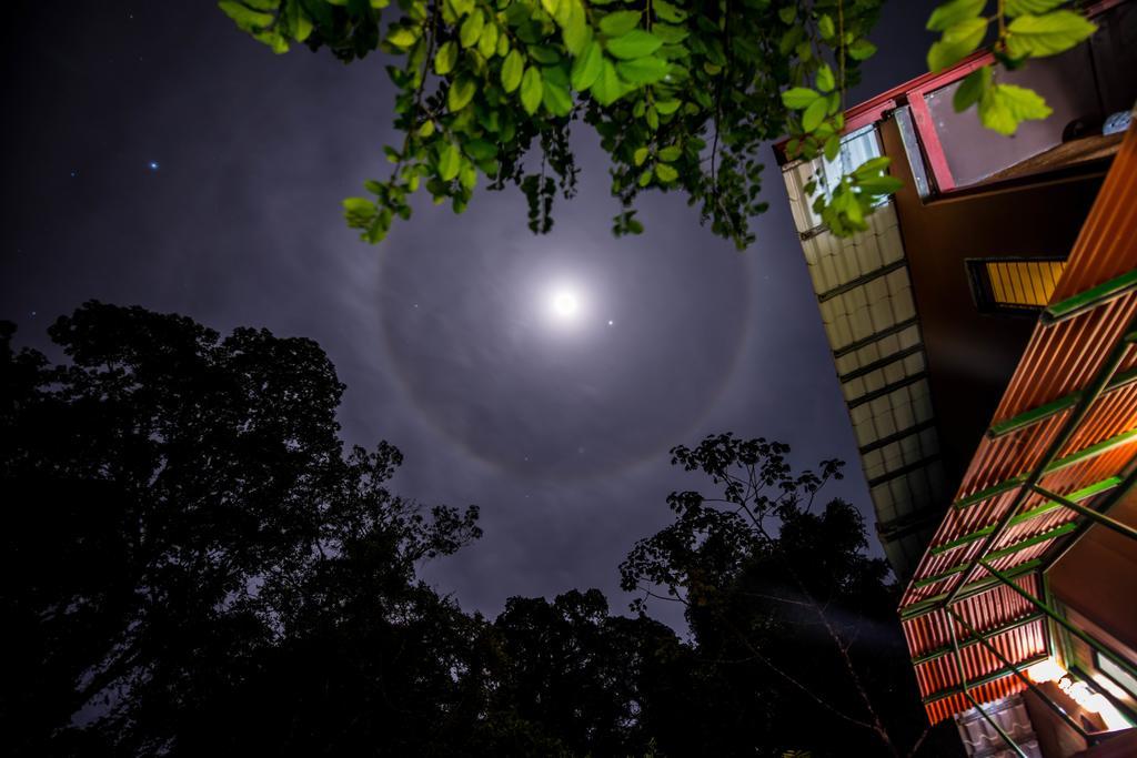 Lucky Bug Bed And Breakfast Nuevo Arenal Exterior foto