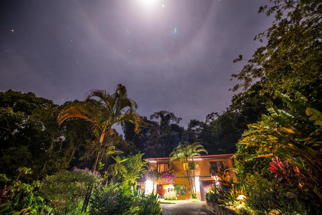 Lucky Bug Bed And Breakfast Nuevo Arenal Exterior foto