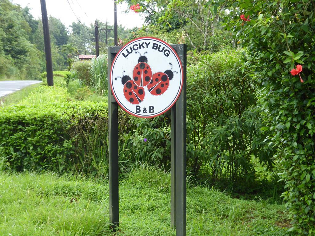 Lucky Bug Bed And Breakfast Nuevo Arenal Exterior foto